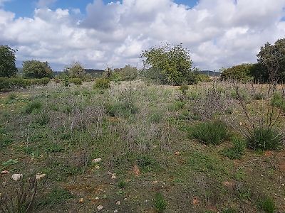 Terreno à venda em Moncarapacho e Fuseta, Olhão
