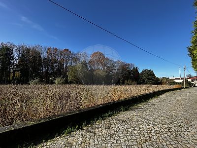 Terreno à venda em Vila de Cucujães, Oliveira de Azeméis