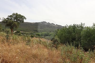 Terreno à venda em Monsanto e Idanha-a-Velha, Idanha-a-Nova