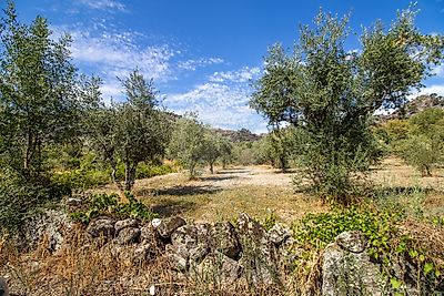 Terreno à venda em Bendada, Sabugal