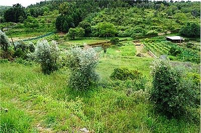 Terreno à venda em Assafarge e Antanhol, Coimbra