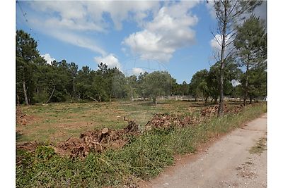 Terreno à venda em Arcos e Mogofores, Anadia
