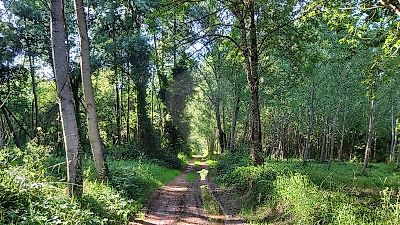 Terreno à venda em Sangalhos, Anadia
