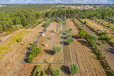 Terreno à venda em Soure, Soure
