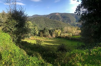 Terreno à venda em Torres do Mondego, Coimbra