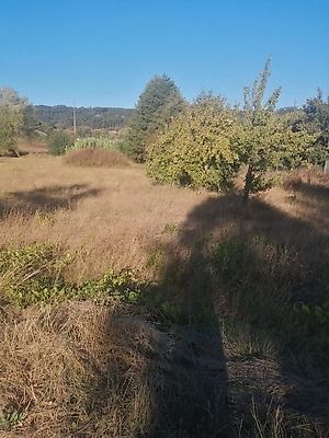 Terreno à venda em Maçãs de Dona Maria, Alvaiázere