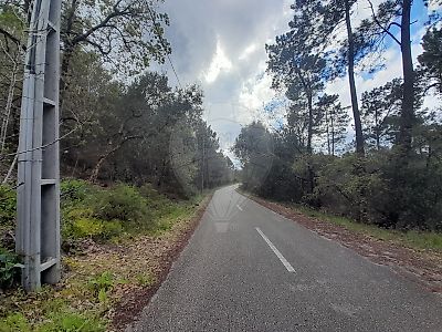 Terreno à venda em Cernache, Coimbra