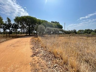Land for sale in Bensafrim e Barão de São João, Lagos