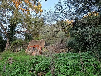 Terreno à venda em Sintra (Santa Maria e São Miguel, São Martinho e São Pedro de Penaferrim), Sintra
