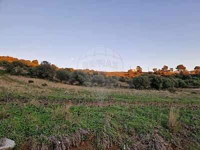 Terreno à venda em Sintra (Santa Maria e São Miguel, São Martinho e São Pedro de Penaferrim), Sintra