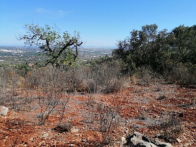 Terreno à venda em Santa Bárbara de Nexe, Faro