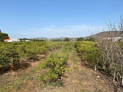 Terreno à venda em Conceição e Estoi, Faro