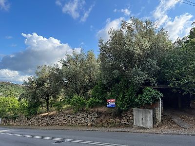 Moradia T4 à venda em Eiras e São Paulo de Frades, Coimbra