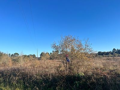 Terreno à venda em Sebal e Belide, Condeixa-a-Nova