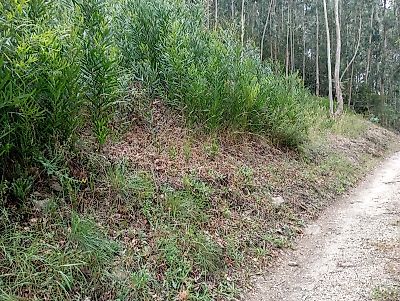 Terreno à venda em Vila e Roussas, Melgaço