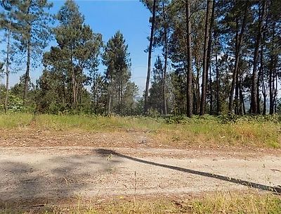 Terreno à venda em Travanca, Amarante