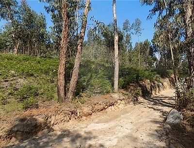 Terreno à venda em Travanca, Amarante