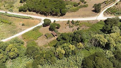 Terreno à venda em Coz, Alpedriz e Montes, Alcobaça