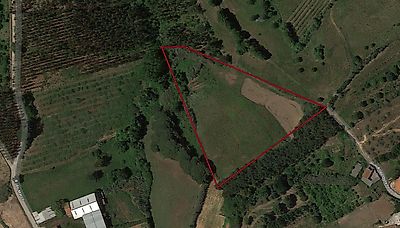 Terreno à venda em Cela, Alcobaça