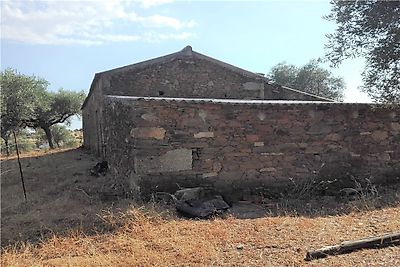 Terreno à venda em Escalos de Baixo e Mata, Castelo Branco