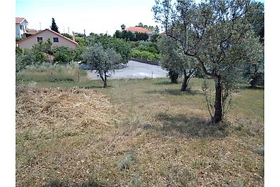 Terreno à venda em Ninho do Açor e Sobral do Campo, Castelo Branco