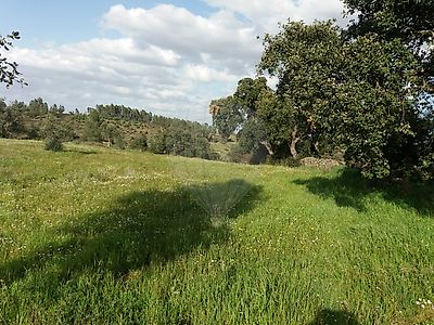 Terreno à venda em Castelo Branco, Castelo Branco