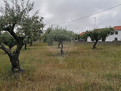 Terreno à venda em Perais, Vila Velha de Ródão