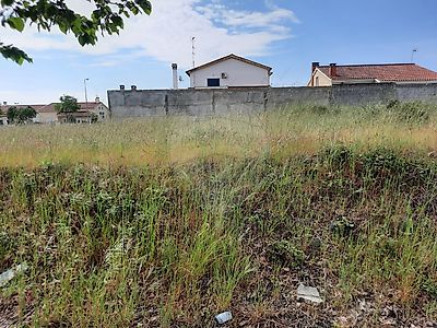 Terreno à venda em Lardosa, Castelo Branco