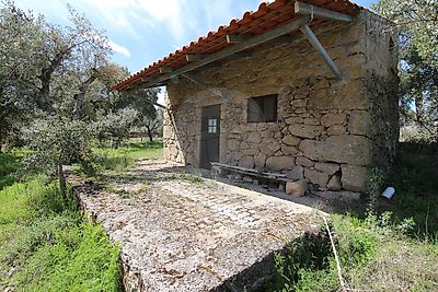 Terreno à venda em Freixial e Juncal do Campo, Castelo Branco