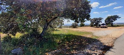 Terreno à venda em Rosmaninhal, Idanha-a-Nova