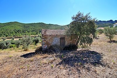 Terreno à venda em Montes da Senhora, Proença-a-Nova