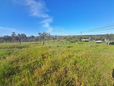 Terreno à venda em Freixial e Juncal do Campo, Castelo Branco
