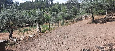 Terreno à venda em Santo André das Tojeiras, Castelo Branco