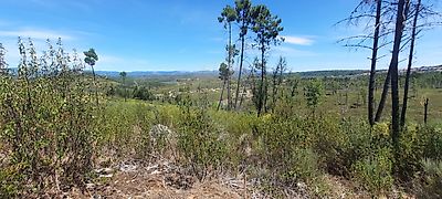 Terreno à venda em Salgueiro do Campo, Castelo Branco