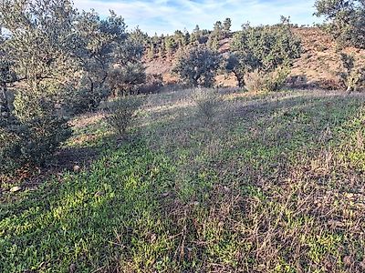 Terreno à venda em Malpica do Tejo, Castelo Branco