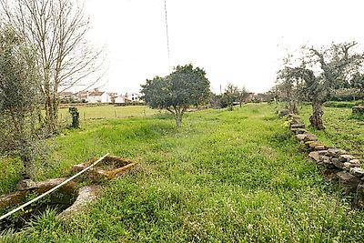 Terreno à venda em Lardosa, Castelo Branco