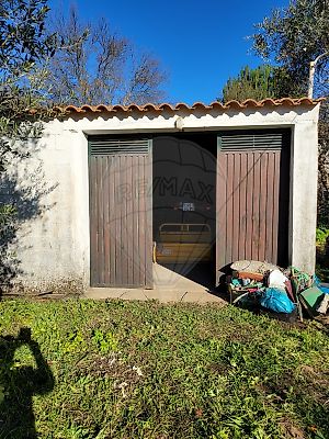 Terreno à venda em Salvador, Penamacor