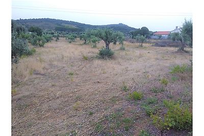 Terreno à venda em Chãos, Ferreira do Zêzere