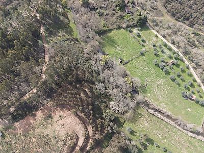 Terreno à venda em Serra e Junceira, Tomar