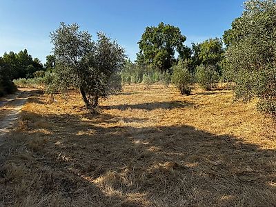 Terreno à venda em Serra e Junceira, Tomar