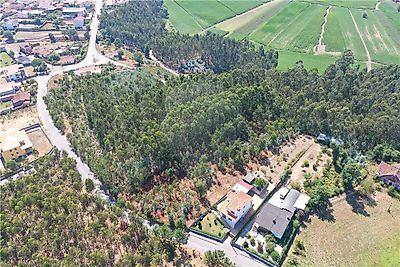 Terreno à venda em Macinhata do Vouga, Águeda