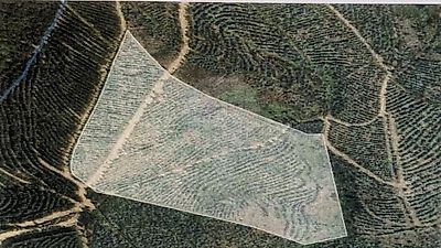 Terreno à venda em São Miguel do Mato, Arouca