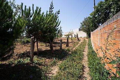 Terreno à venda em Sosa, Vagos