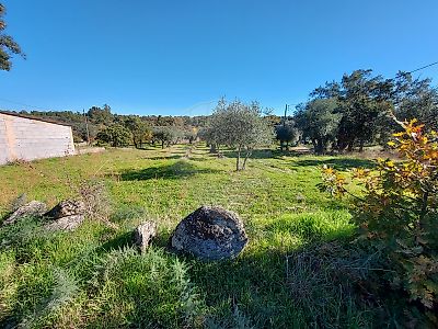 Terreno à venda em Pedrógão de São Pedro e Bemposta, Penamacor