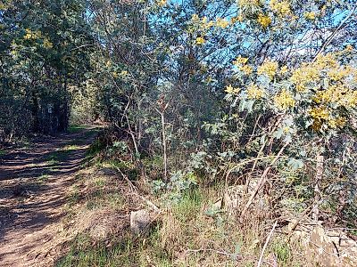 Terreno à venda em Pedrógão de São Pedro e Bemposta, Penamacor