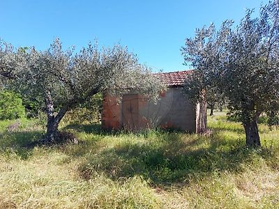 Terreno à venda em Pedrógão de São Pedro e Bemposta, Penamacor
