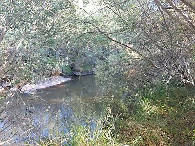 Terreno à venda em Pedrógão de São Pedro e Bemposta, Penamacor