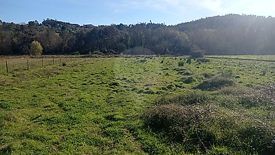 Terreno à venda em Caxarias, Ourém
