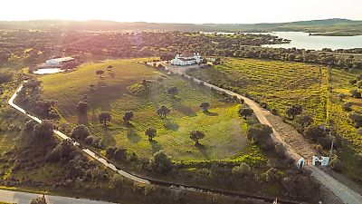 Quinta à venda em São Pedro Terena, Alandroal