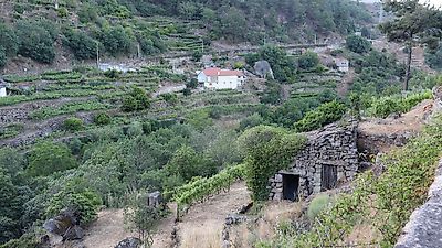 Terreno à venda em Torgueda, Vila Real